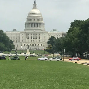 Meet your Posher, Taryn